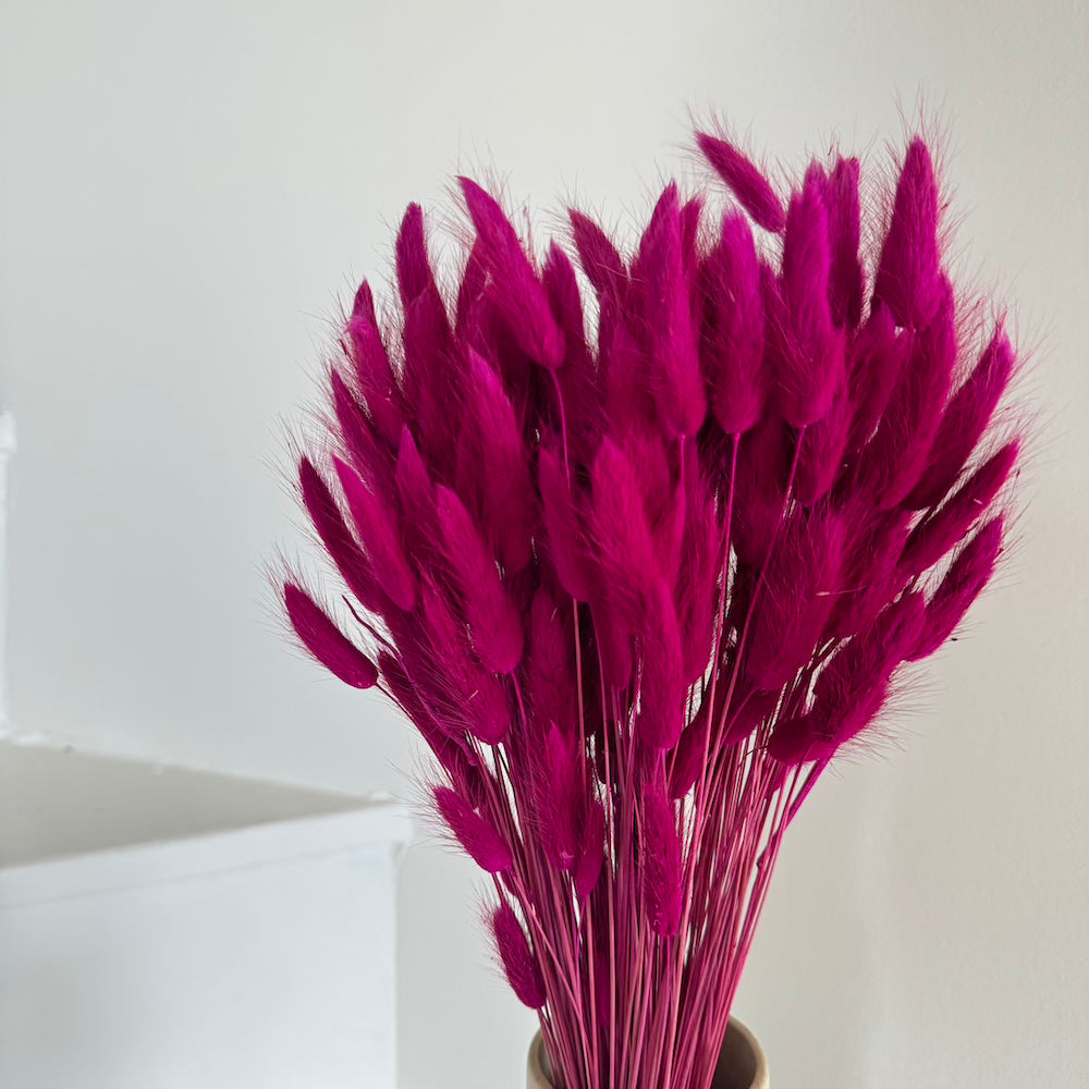 Botte Lagurus Magenta