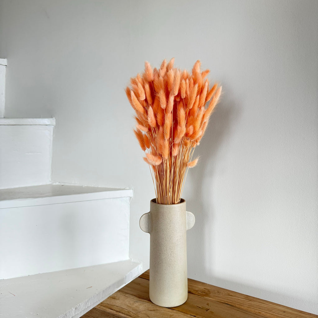 Botte Lagurus Pêche