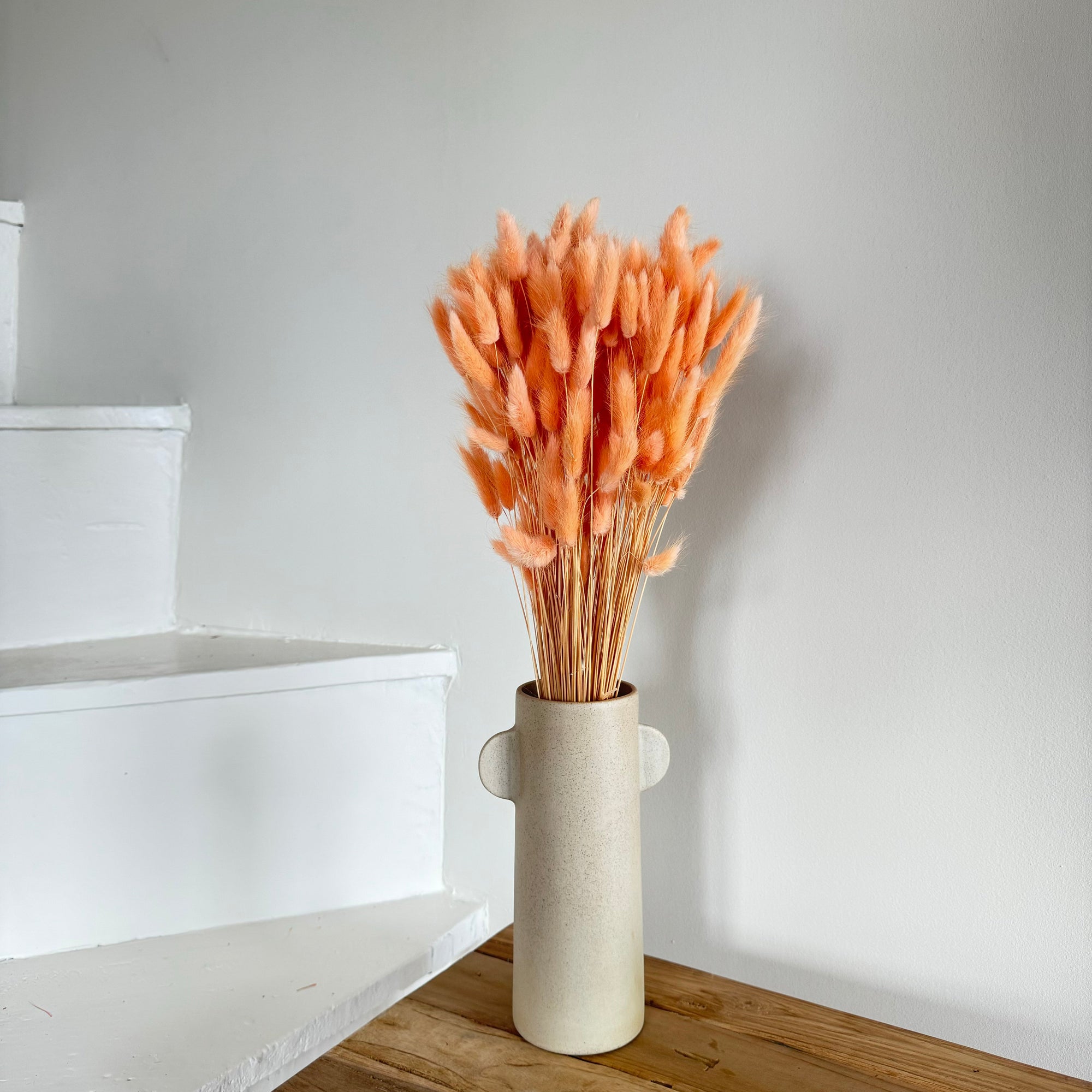 Botte Lagurus Pêche