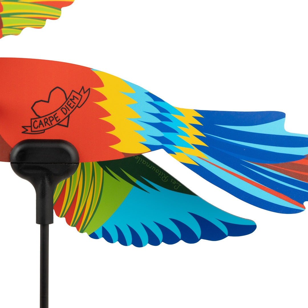 Coco Cannelle Weathervane