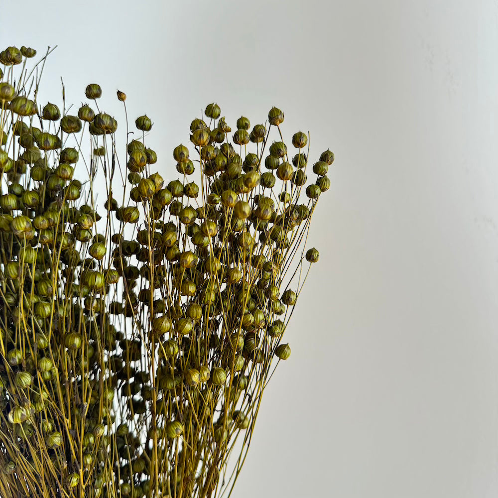 Botte Lin Vert olive