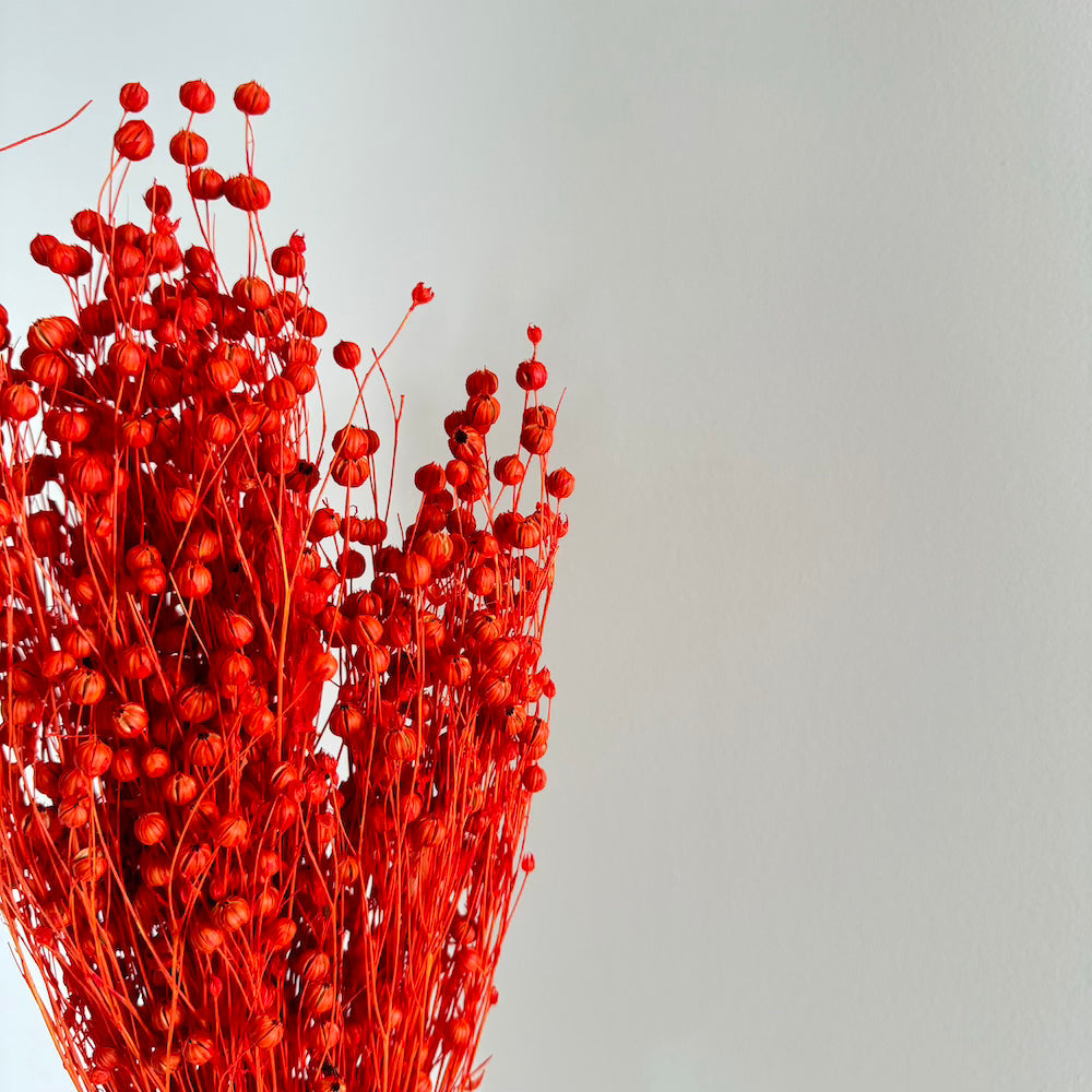 Botte Lin Orange foncé