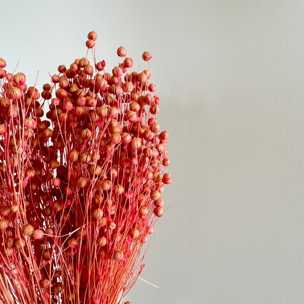 Botte Lin Vieux rose