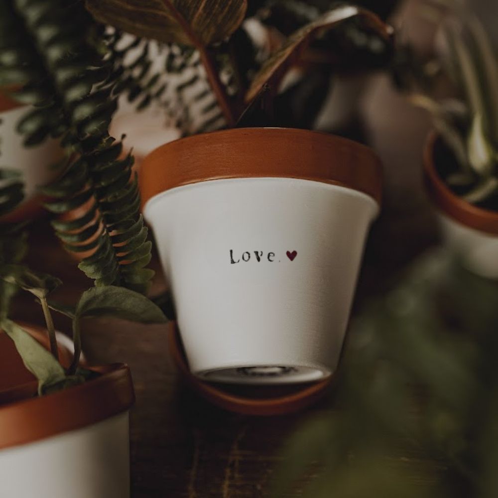 pot de fleur personnalisé love amour idée cadeau femme cadeau couple amie amitié, cadeau saint valentin personnalisé, cadeau personnalisé st valentin, cadeau original plante lover addict plantes vertes