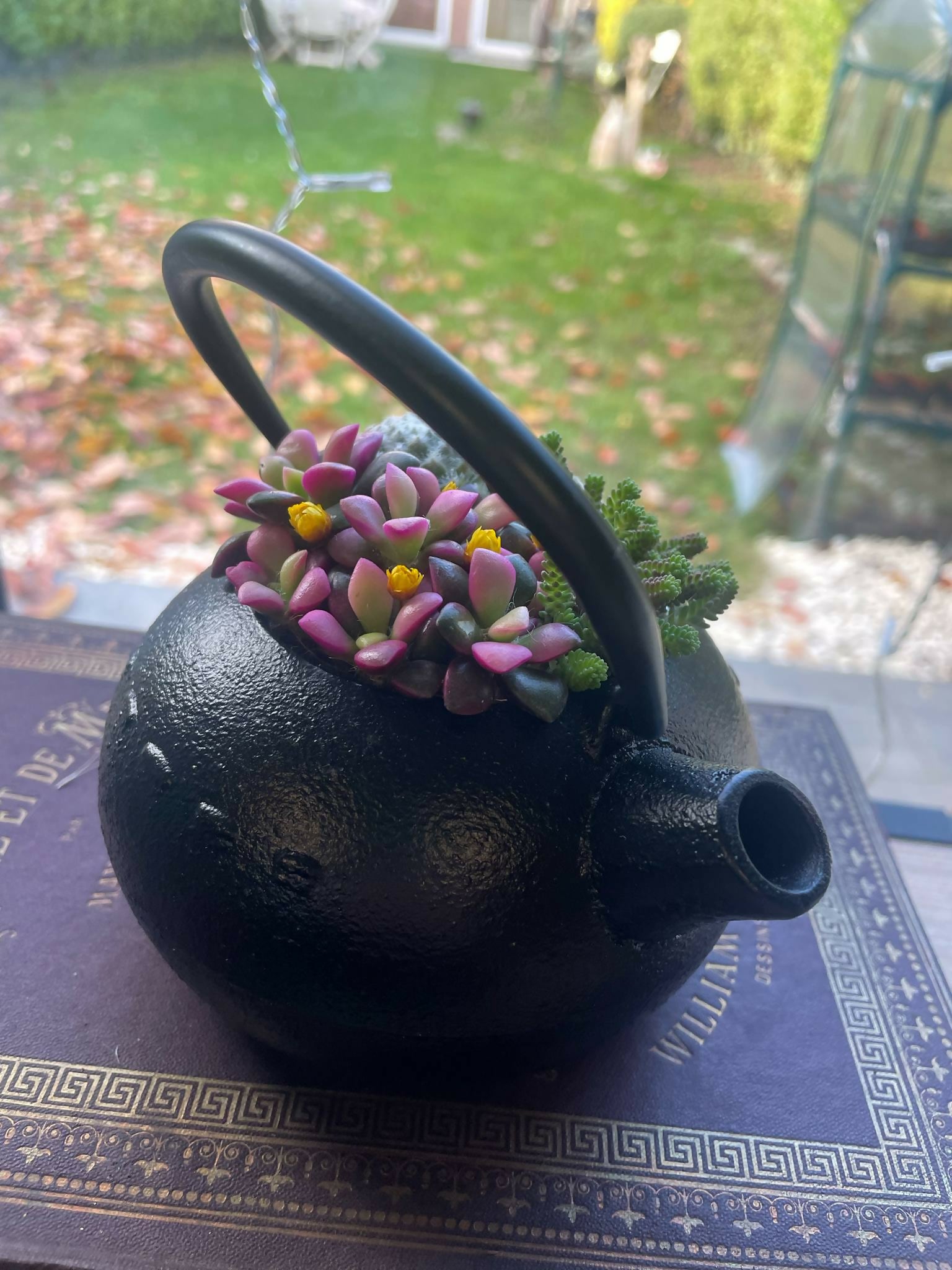 Théière en fonte japonaise