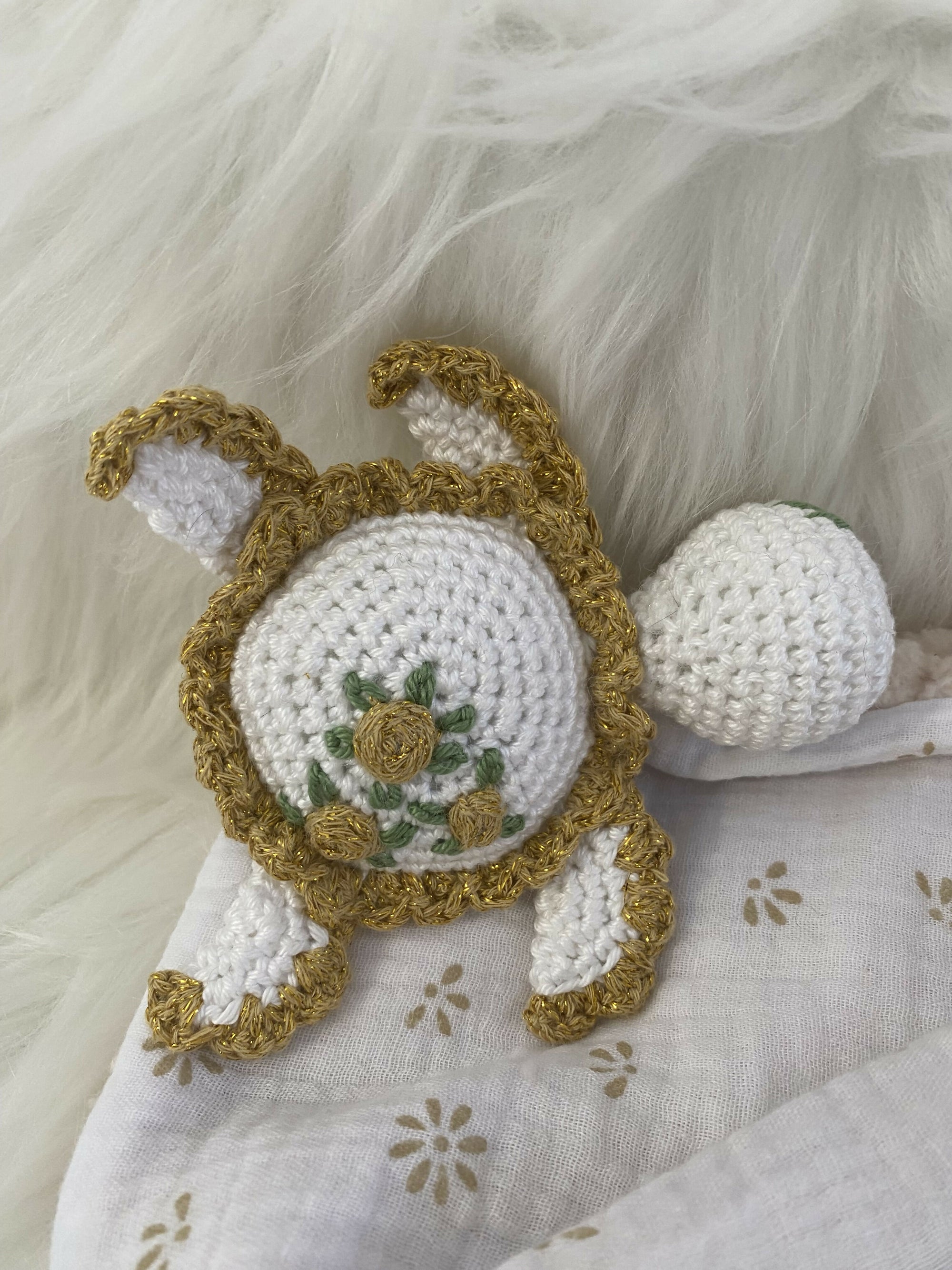 TORTUE BLANCHE OR6