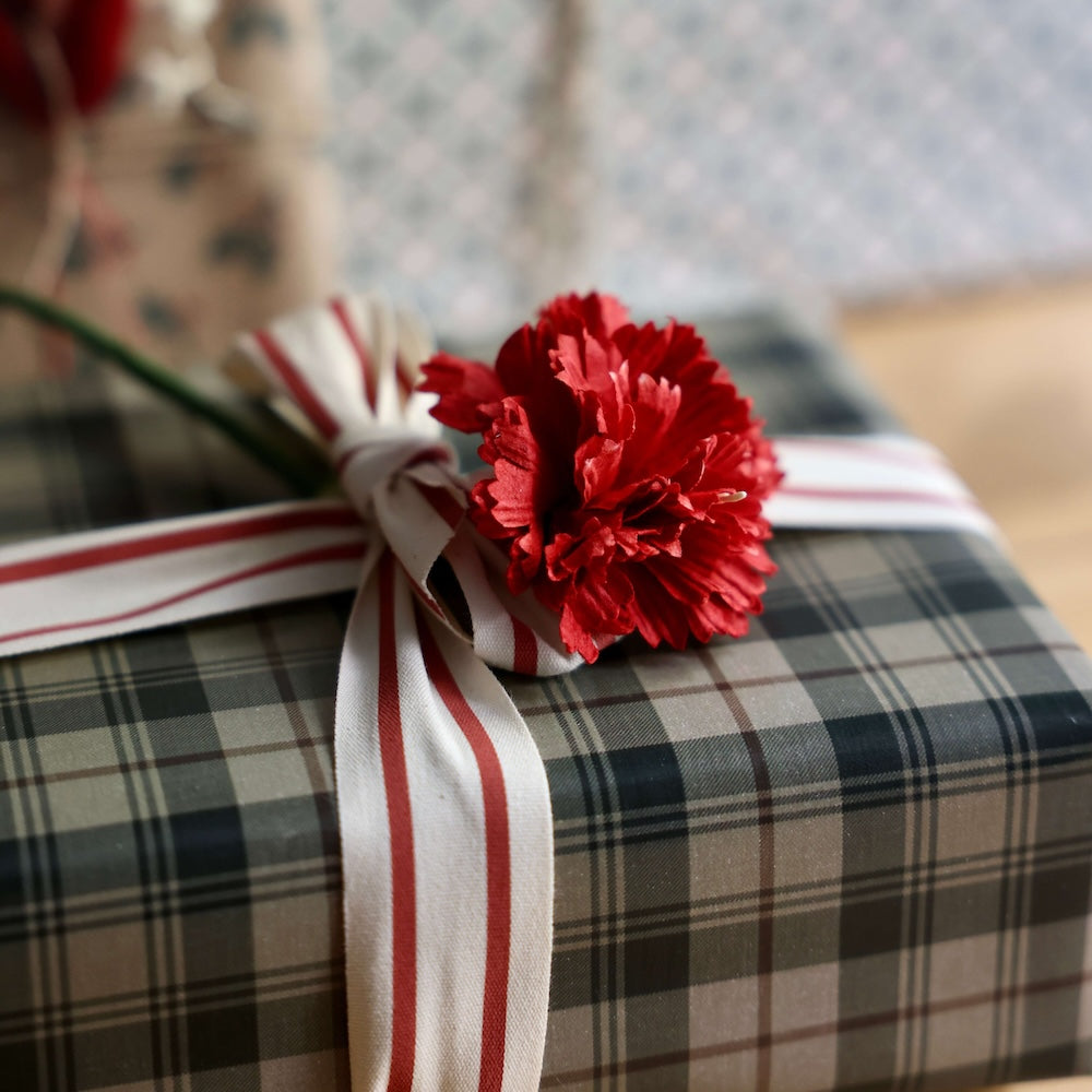 Red paper carnation