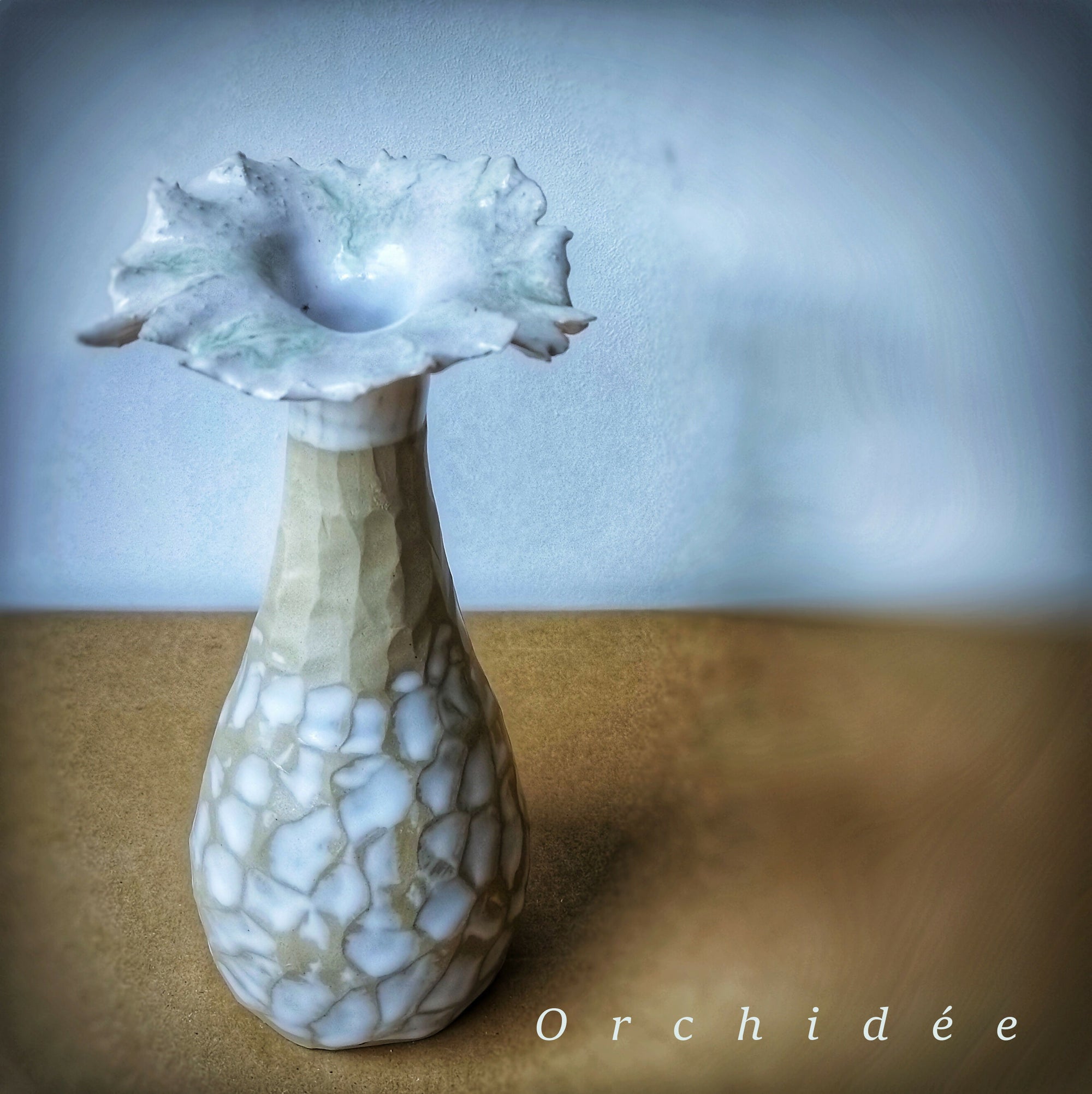 Orchidée