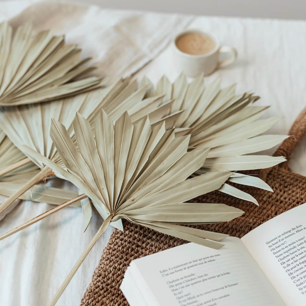 feuilles-palmier-sechees