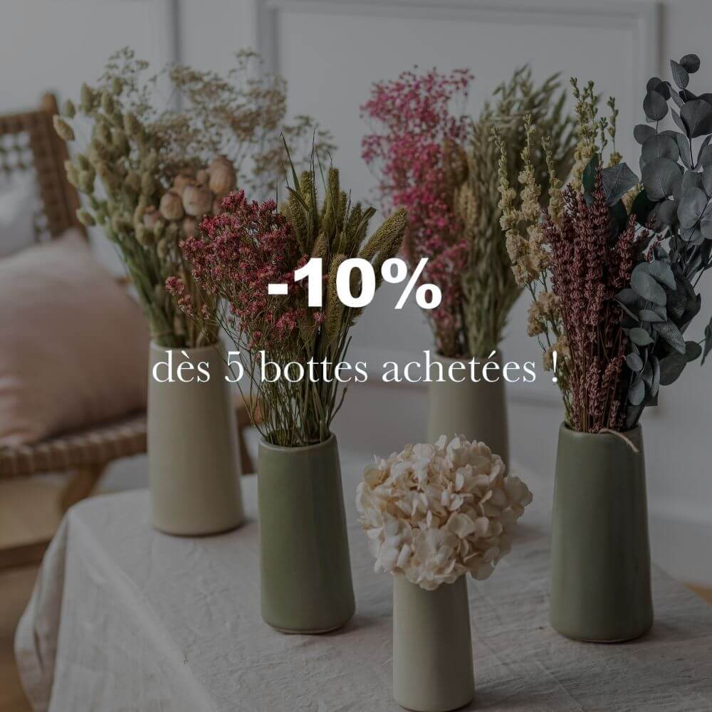 botte-fleurs-sechees-gypsophile-naturel-flowrette