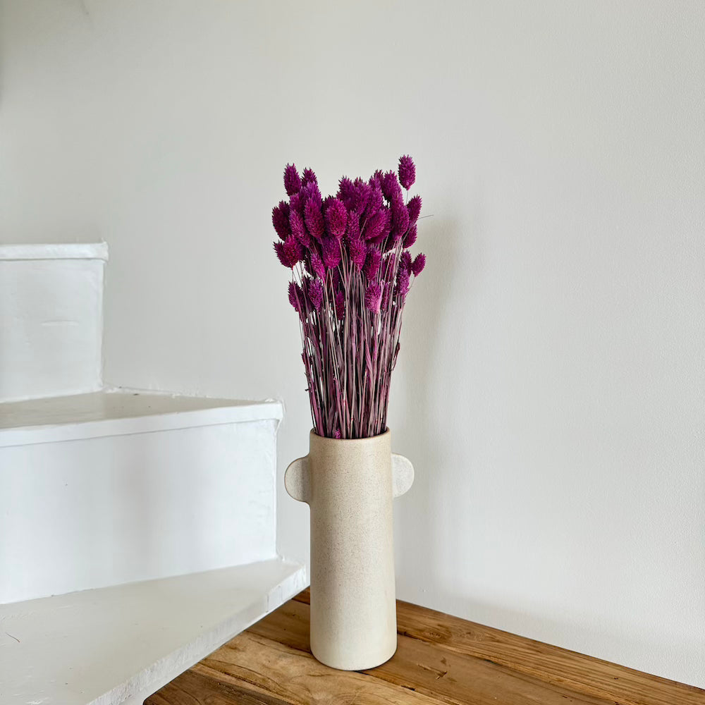 Botte Phalaris violet