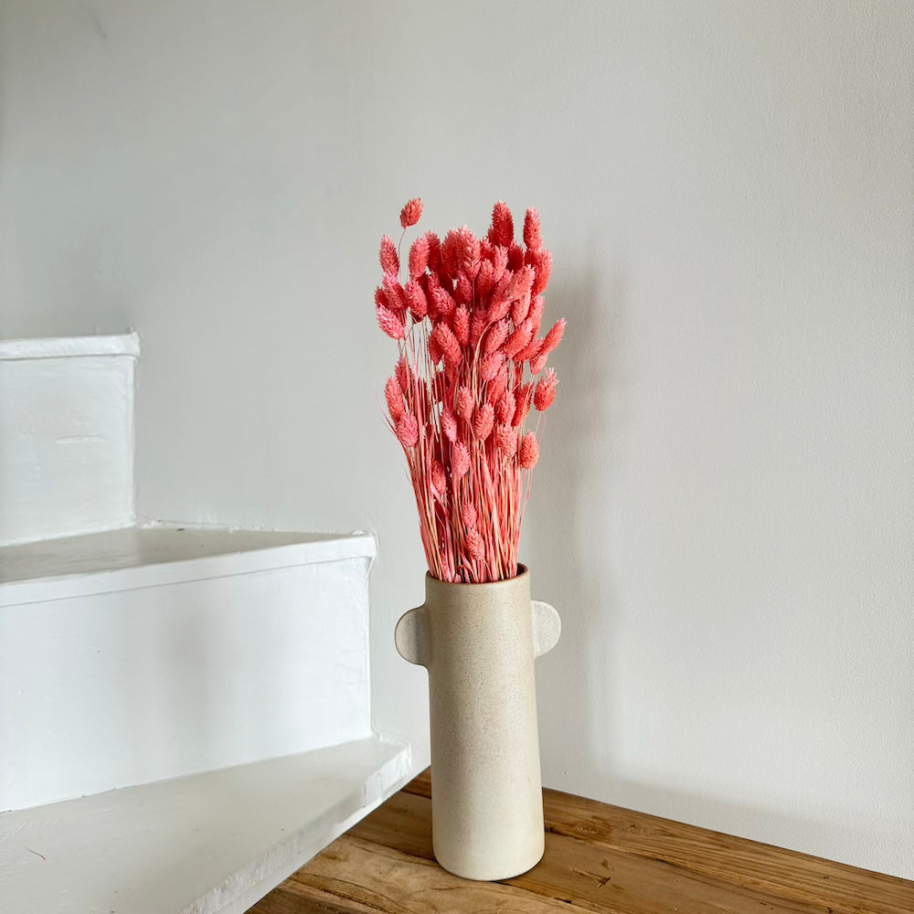 Botte Phalaris Vieux rose