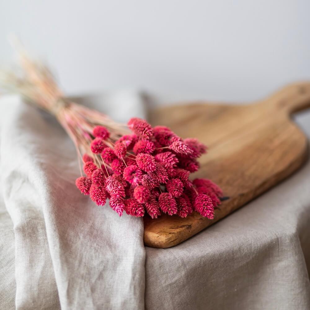 phalaris-rose-fonce-botte-fleurs-sechees