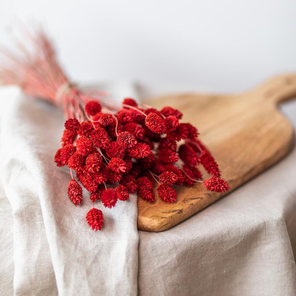 phalaris-rouge-botte-fleurs-sechees