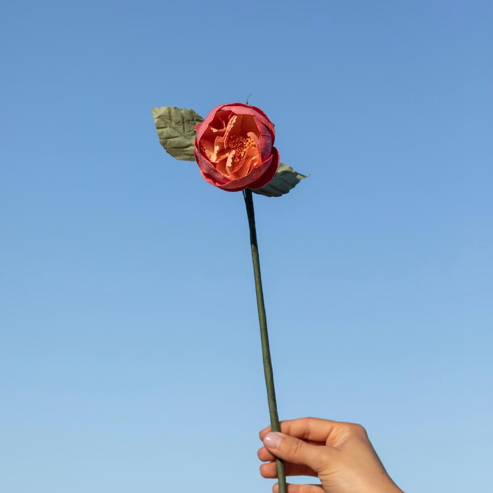 pivoine-jardin-fleur-papier-flowrette-corail