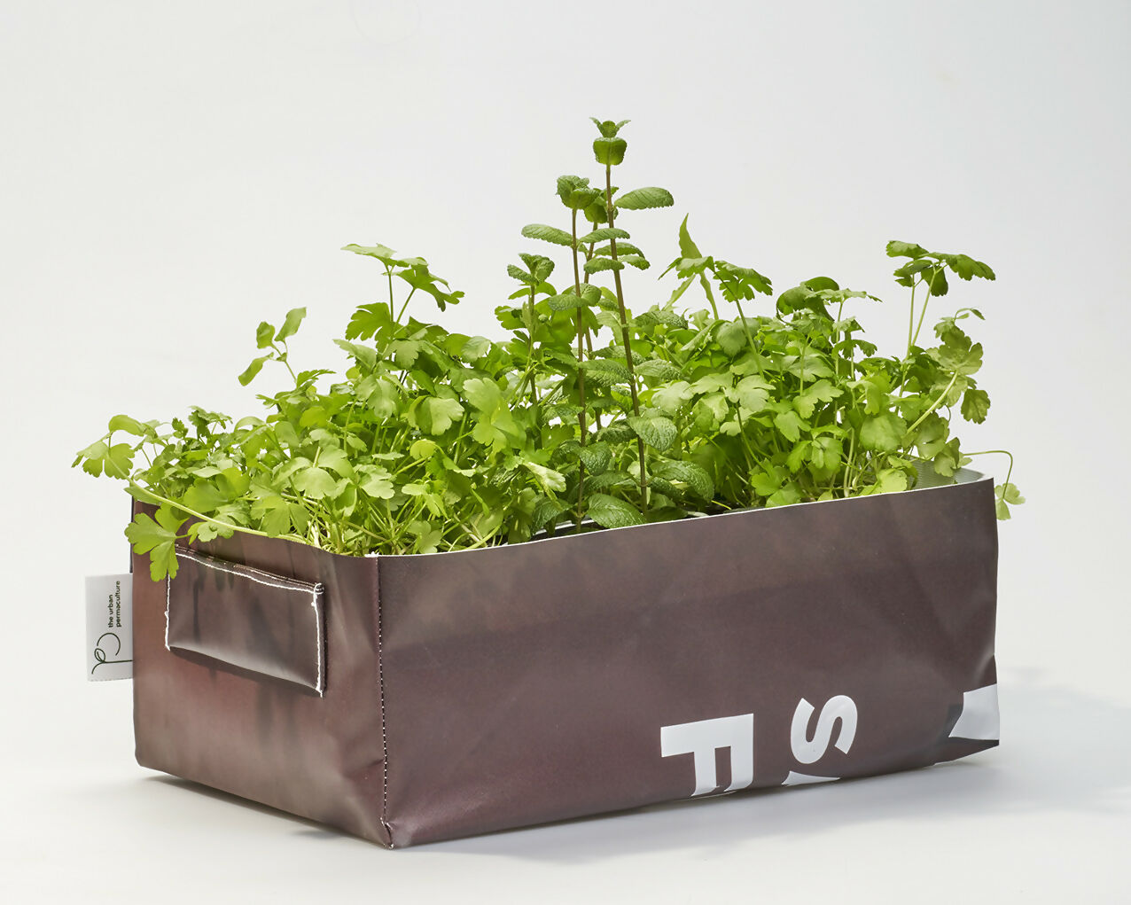 Kit potager mobile avec Mélange Laitues, Cresson, Basilic, Persil, Blettes multicolores, Roquette