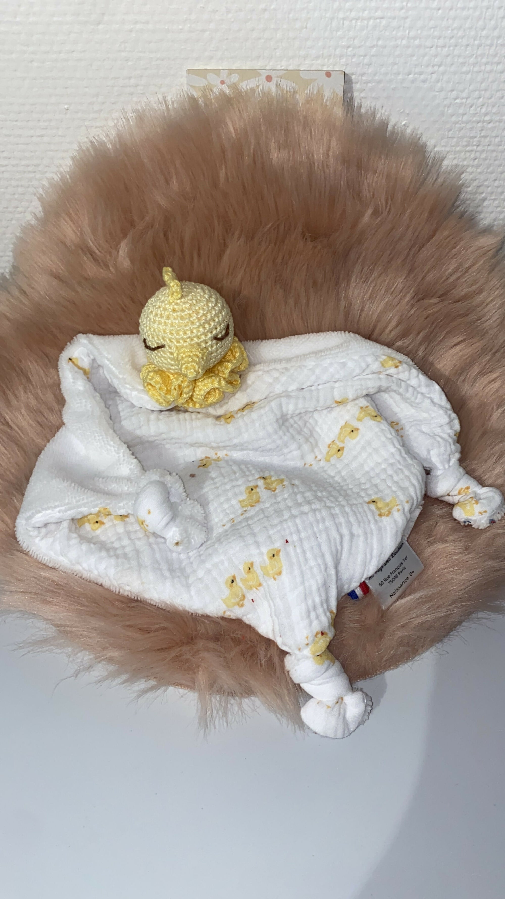 DOUDOU POUSSIN