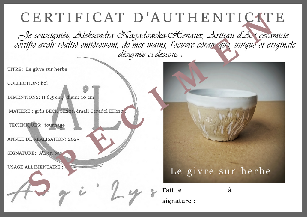 Le givre sur l'herbe