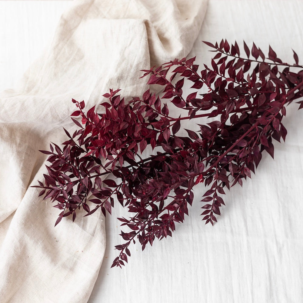 ruscus-bordeaux