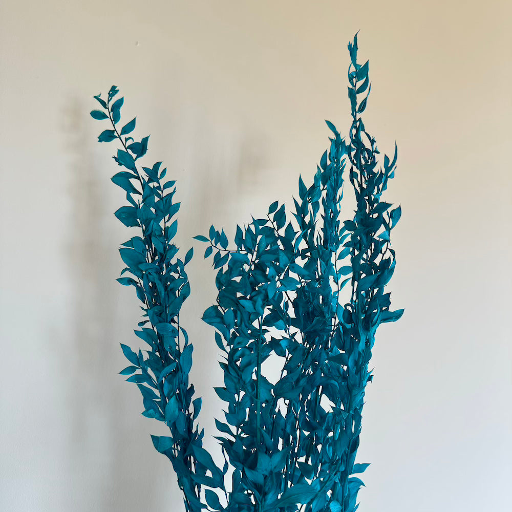 Botte Ruscus Turquoise