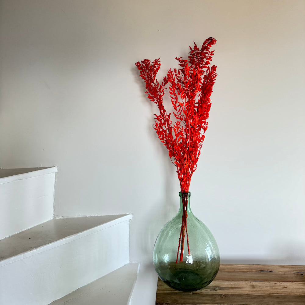 Botte Ruscus Orange foncé