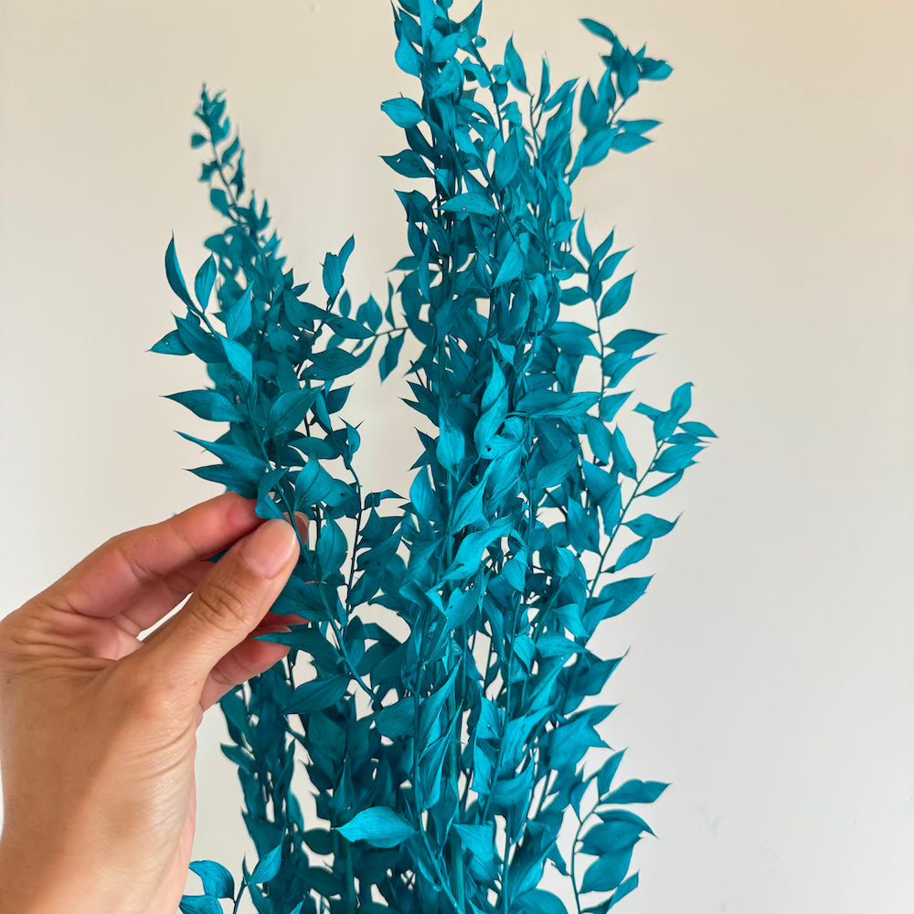 Botte Ruscus Turquoise