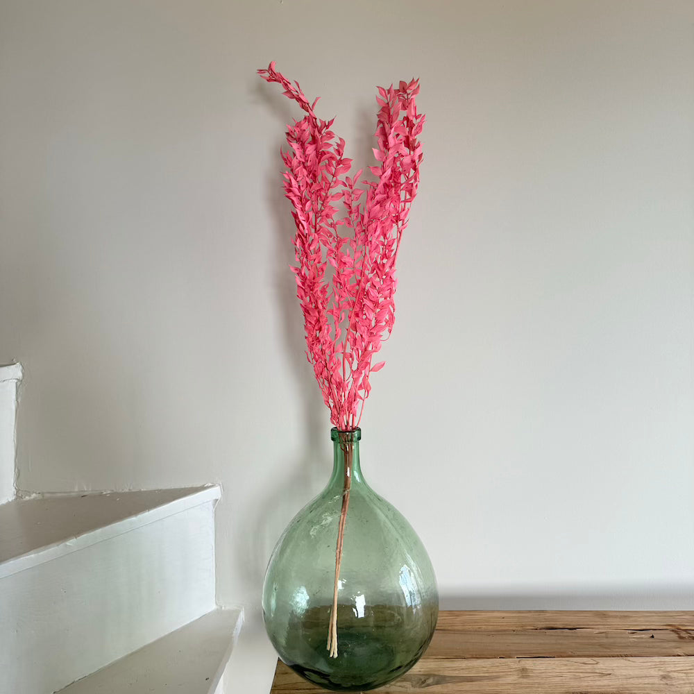 Botte Ruscus Vieux rose