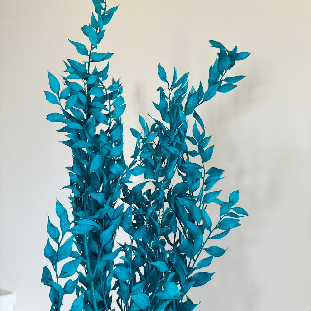 Botte Ruscus Turquoise