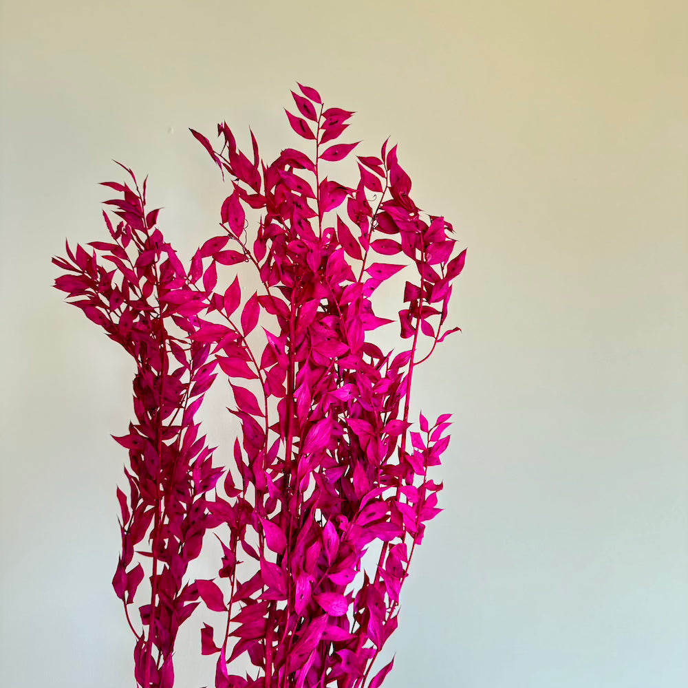 Botte Ruscus Violet
