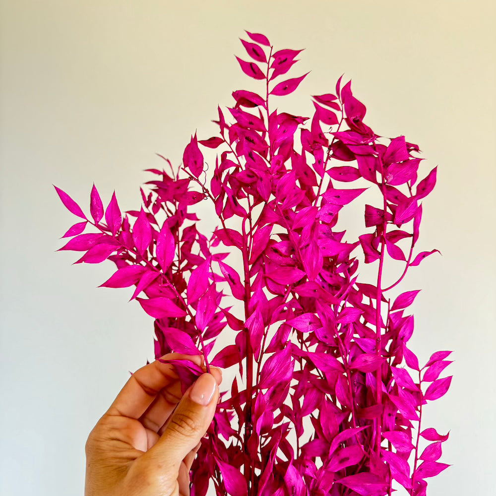 Botte Ruscus Violet