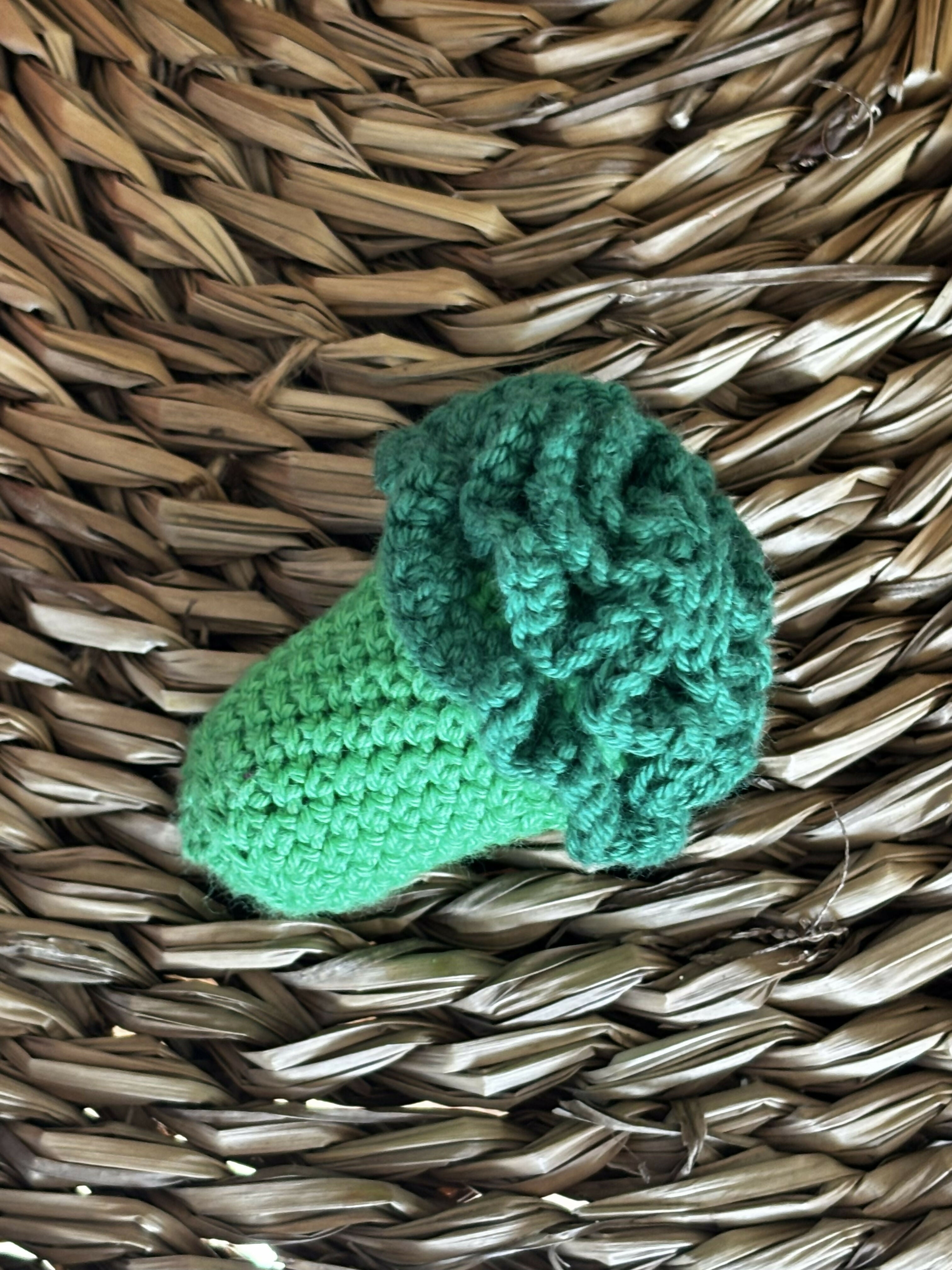 BROCOLI