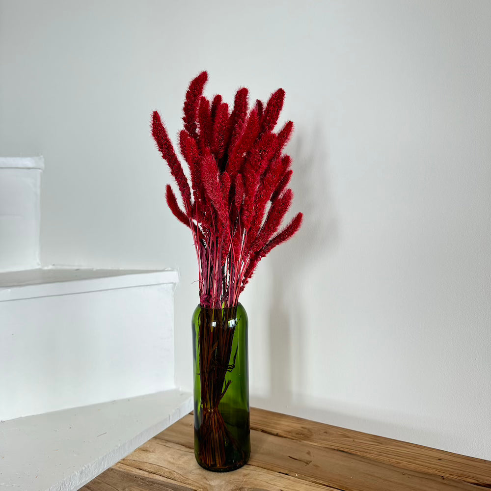 Botte sétaire rouge