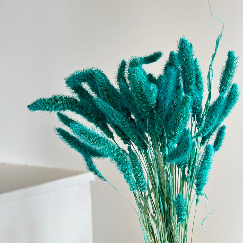 Botte Sétaire Turquoise