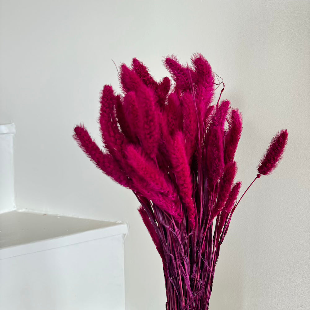 Botte Sétaire Magenta