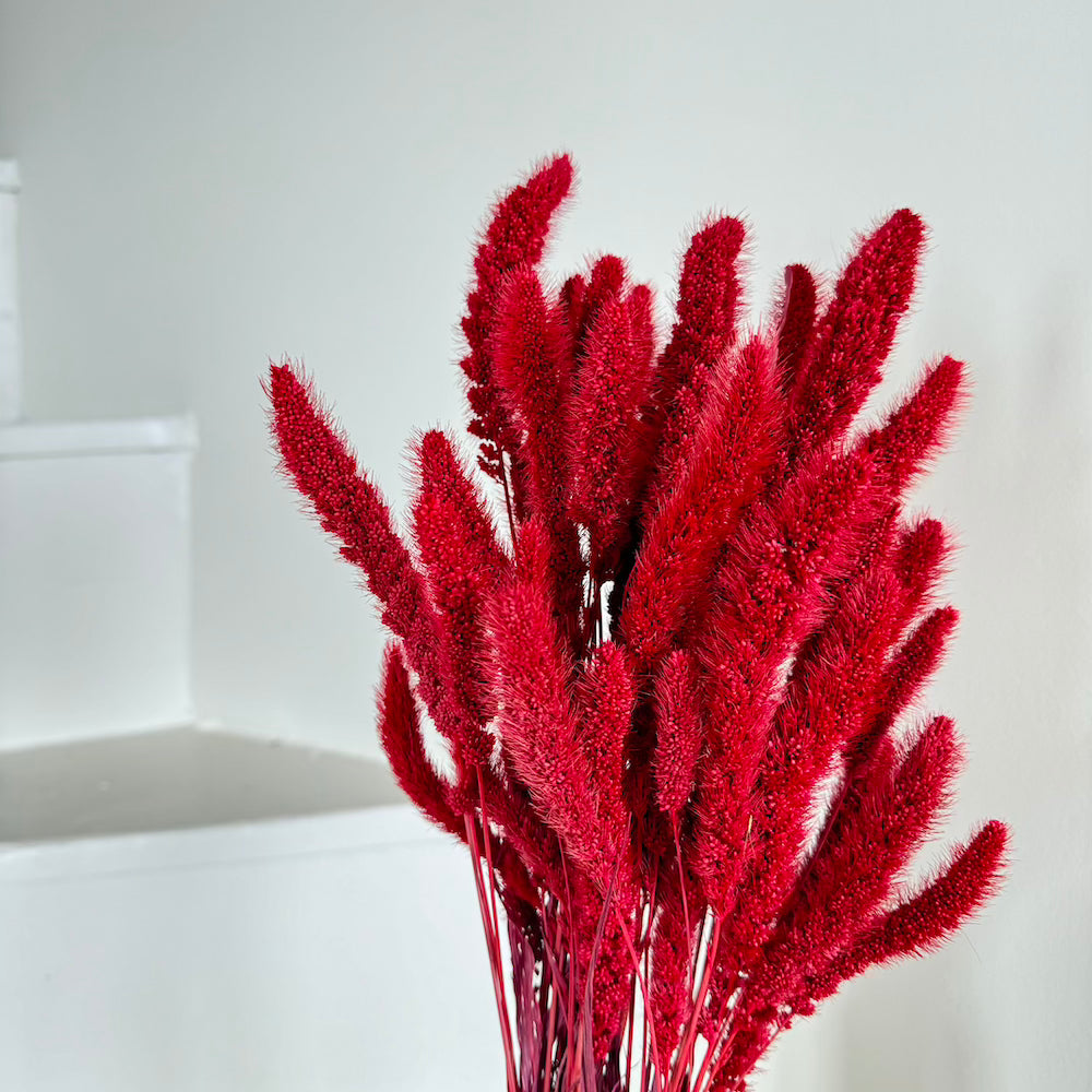 Botte sétaire rouge