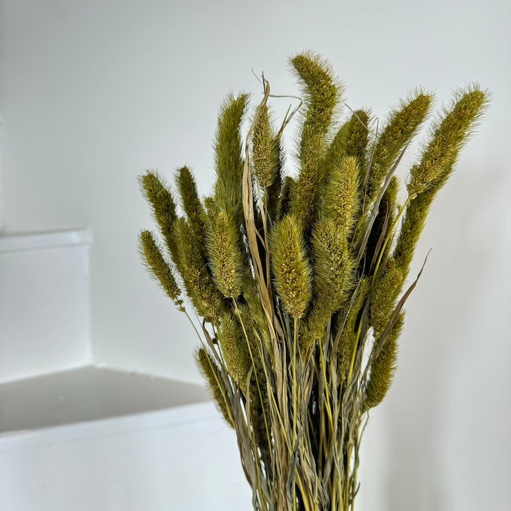 Botte Sétaire Vert olive