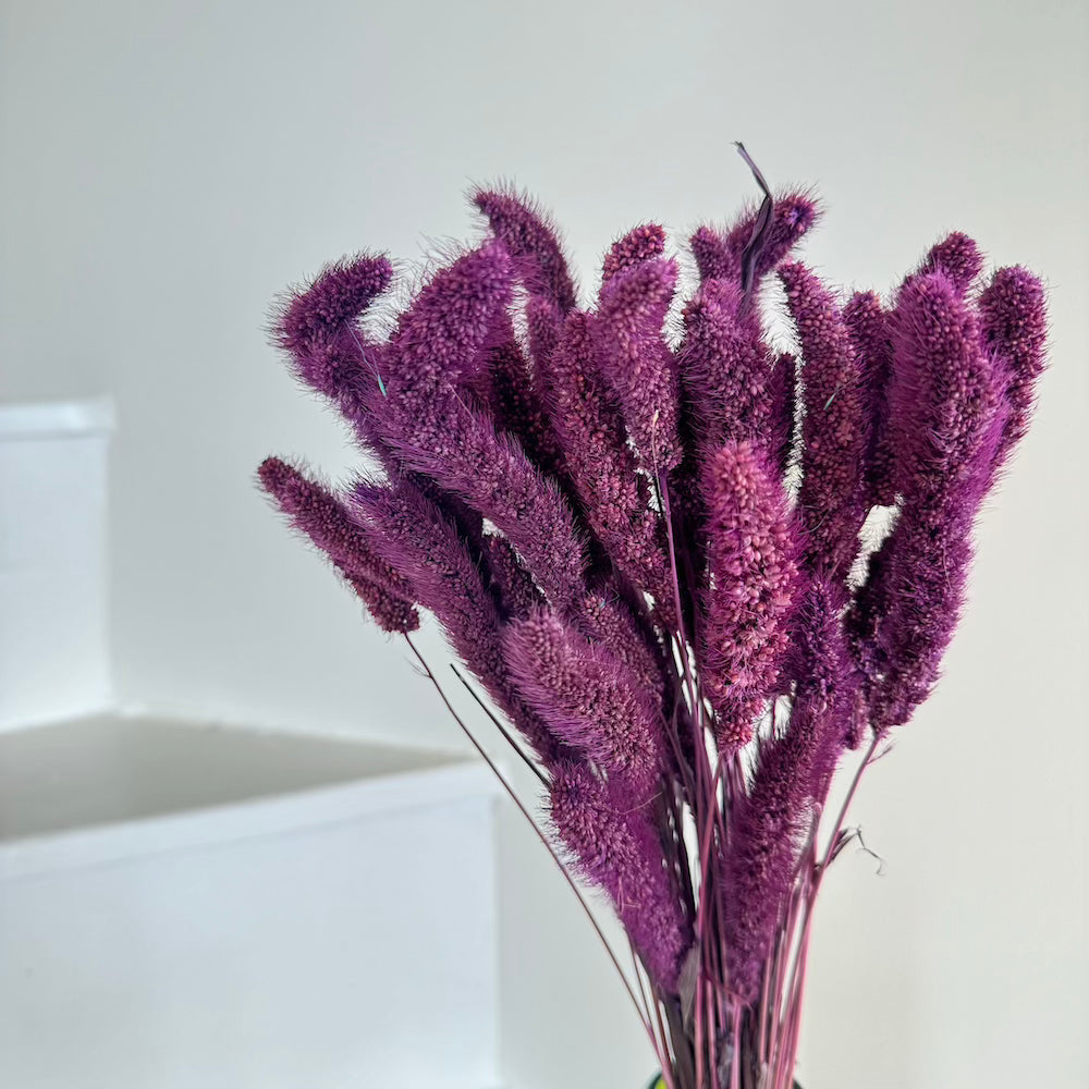 Botte Sétaire Violet