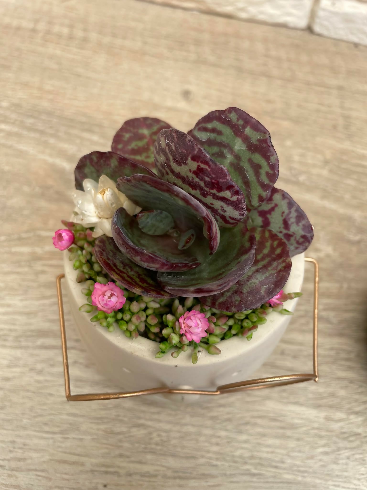 487338944_2087814024981207_6142226211992330451_n