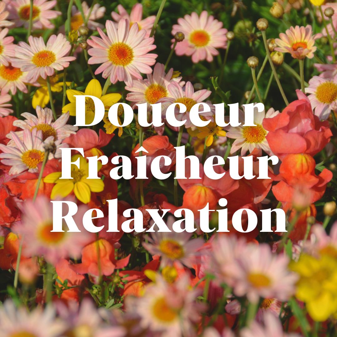 Trousse Douceur Florale
