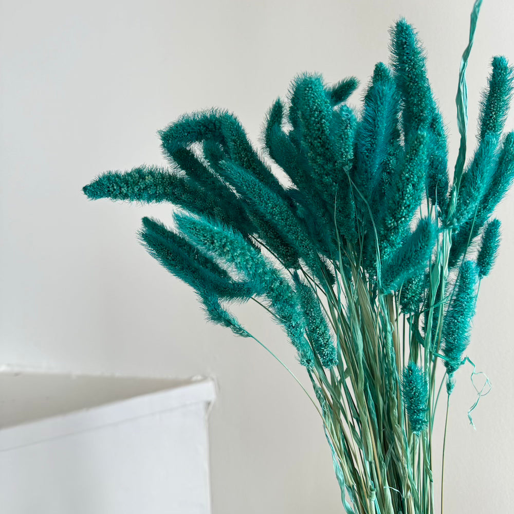 Botte Sétaire Turquoise