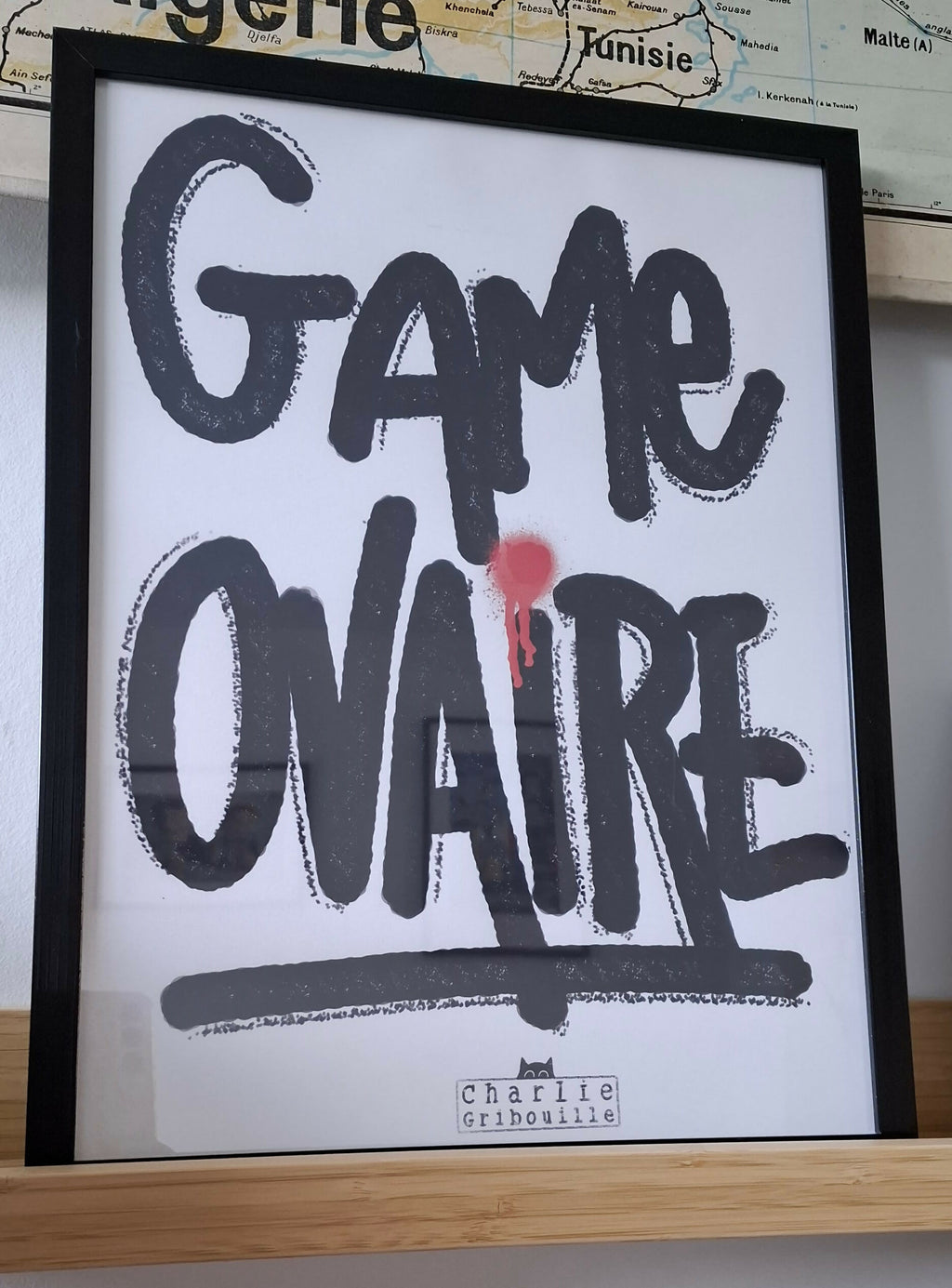 Affiche Game Ovaire