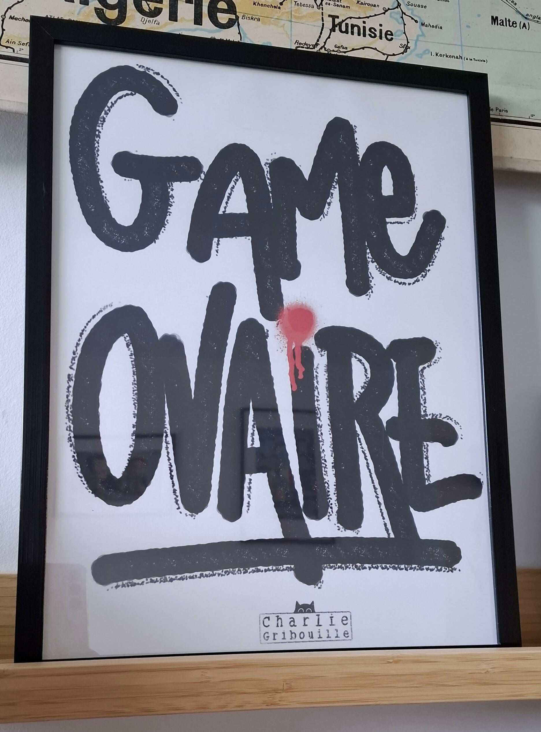 Affiche Game Ovaire