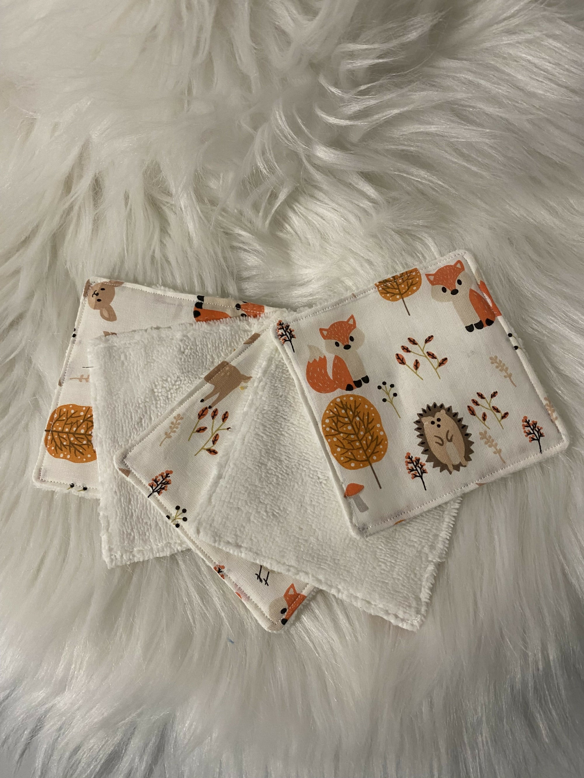 5 LINGETTES HERISSONS FORET