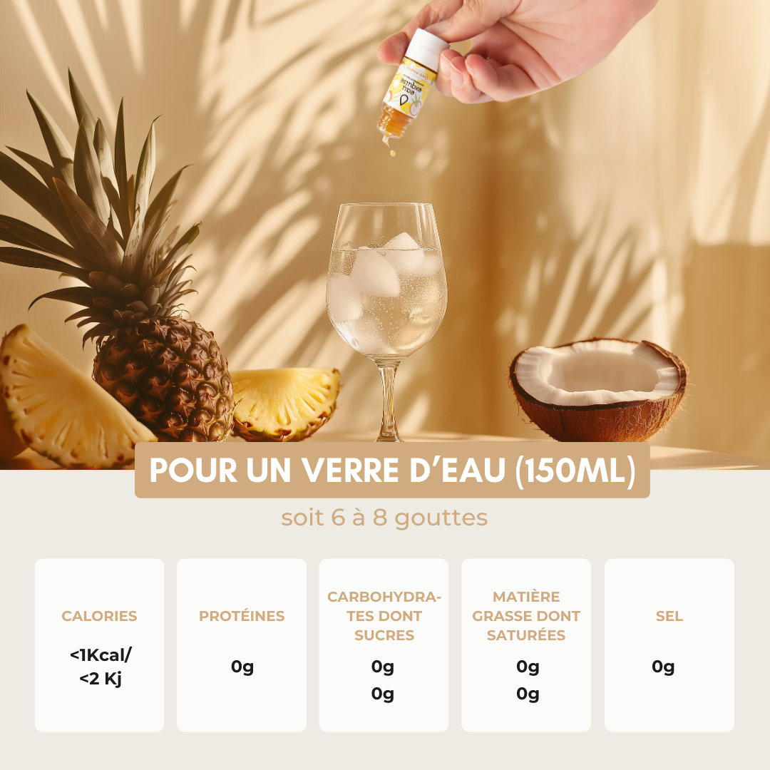 Coco Ananas BIO