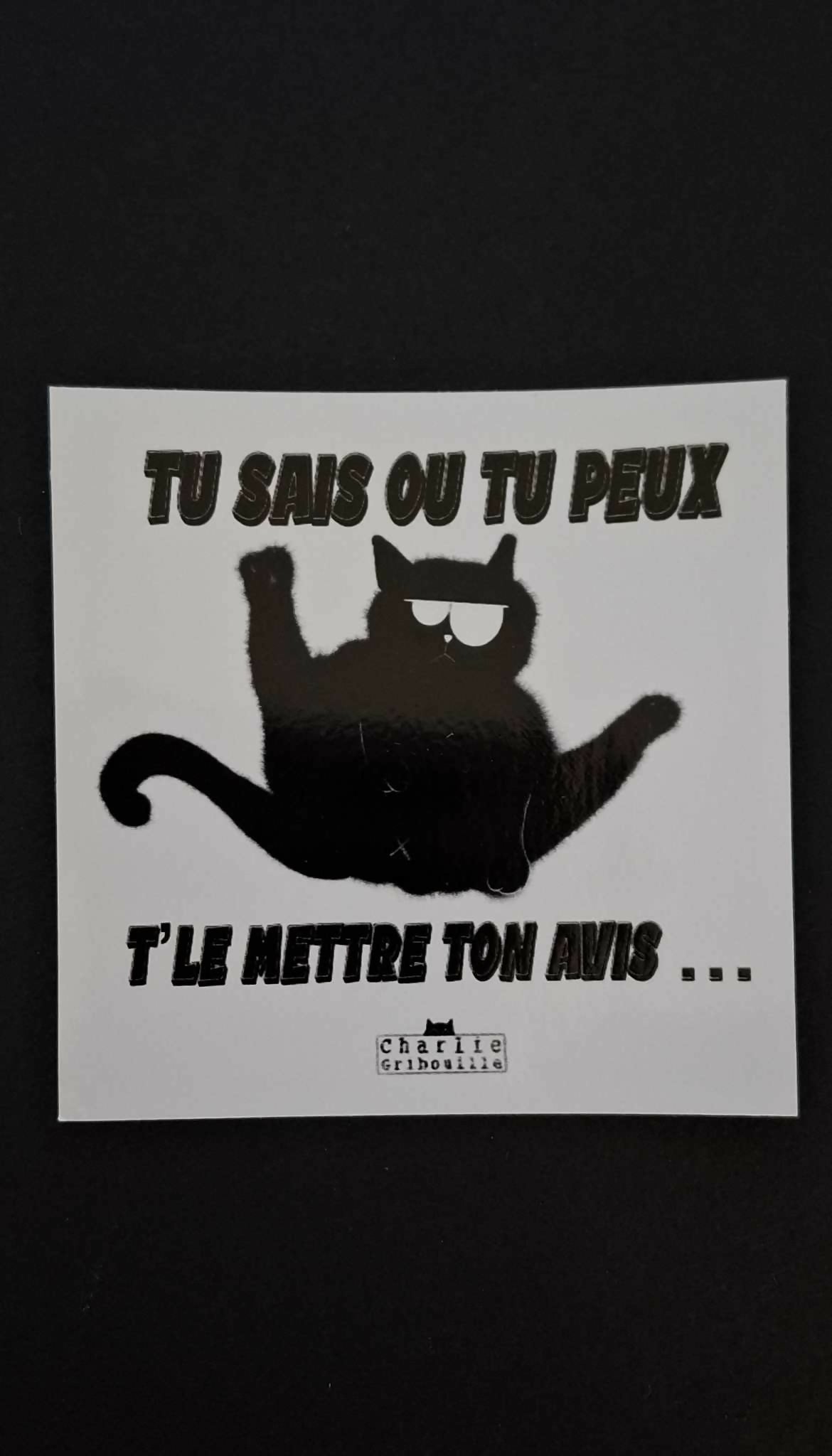 Sticker Tu sais où tu peux te le mettre ton avis