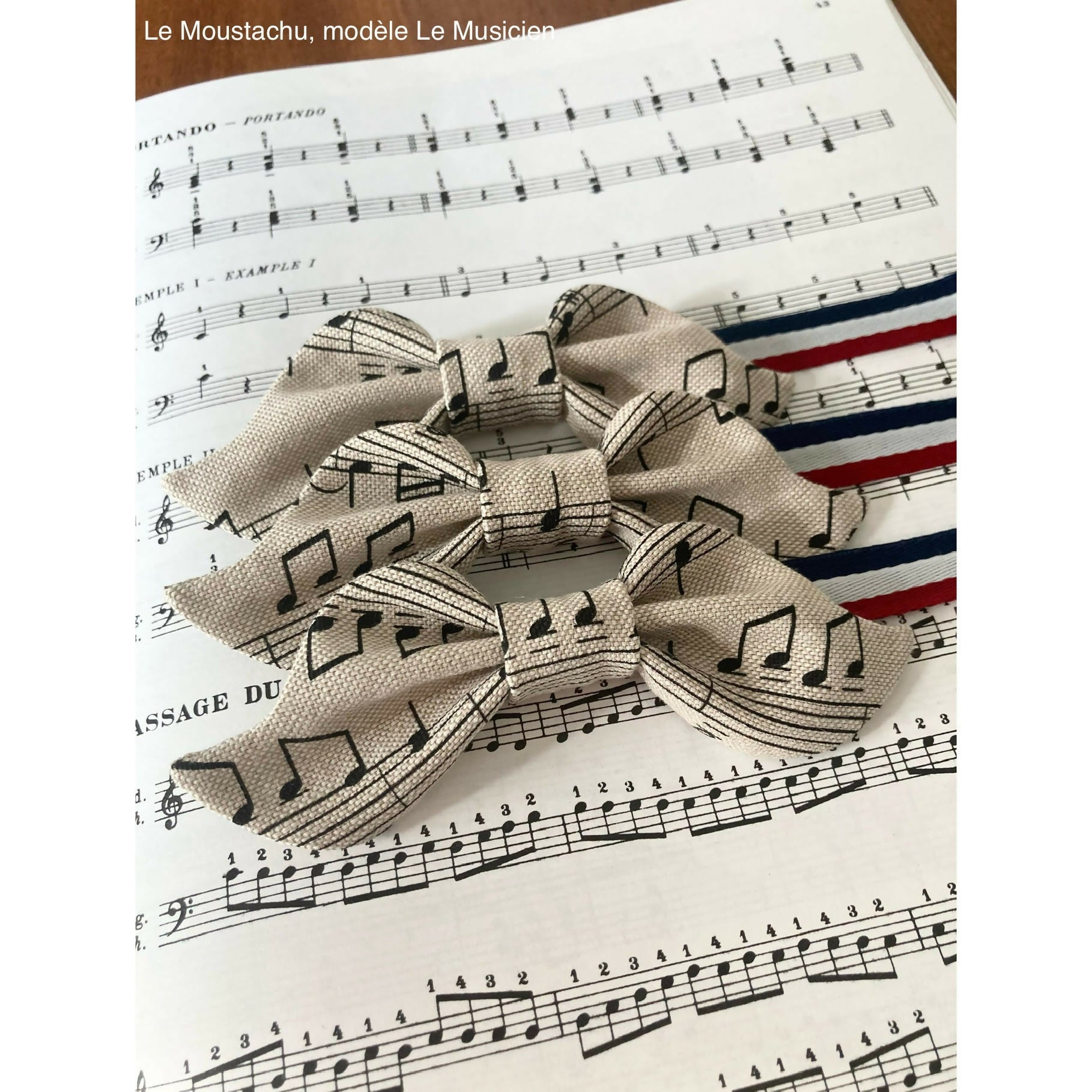 Nœud papillon Le Moustachu modèle Le Musicien