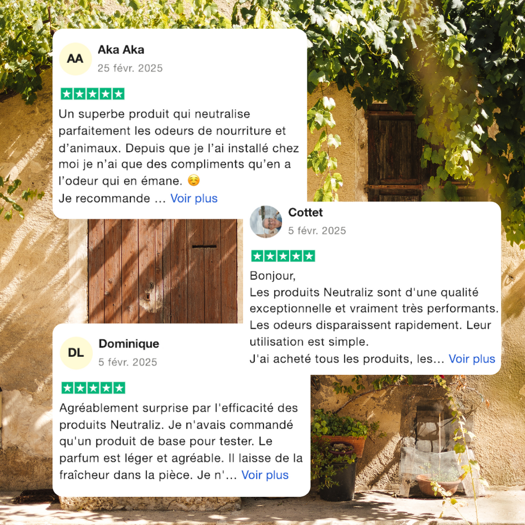 destructeur odeur - absorbeur odeur - absorbeur d'odeur puissant - diffuseur odeur - parfum maison - désodorisant naturel