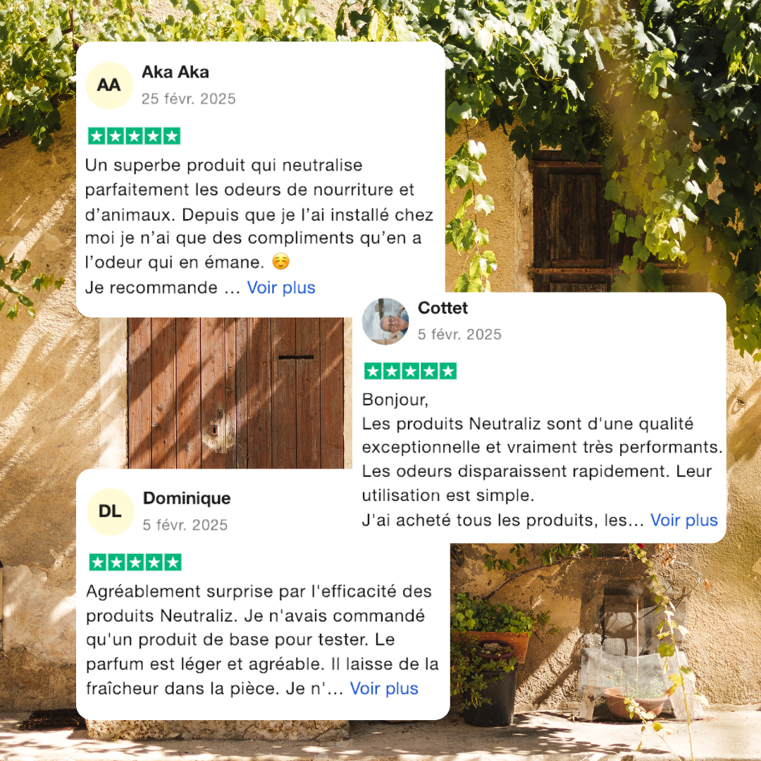 diffuseur d'huile essentielle - destructeur odeur - absorbeur odeur - absorbeur d'odeur puissant - diffuseur odeur - parfum maison - désodorisant naturel